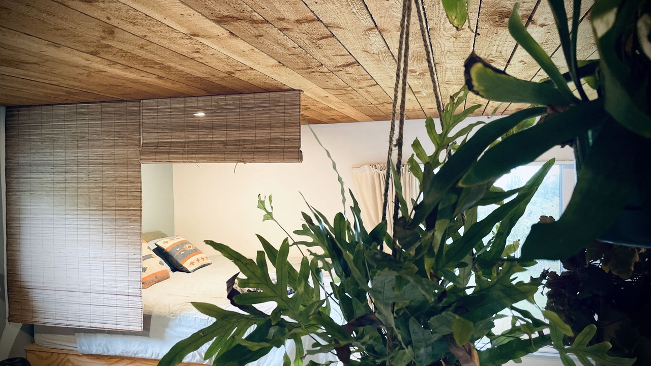 Photo of Bedroom in Springfield