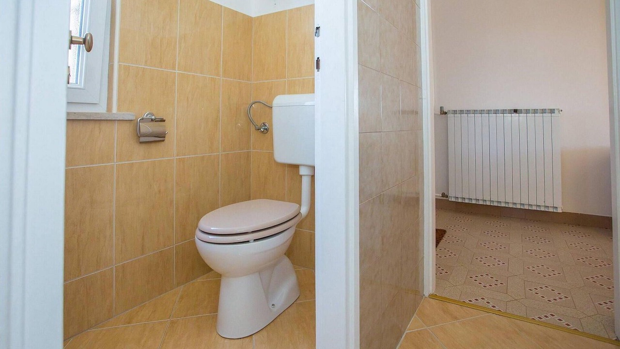 Photo of Bathroom in Nedescina