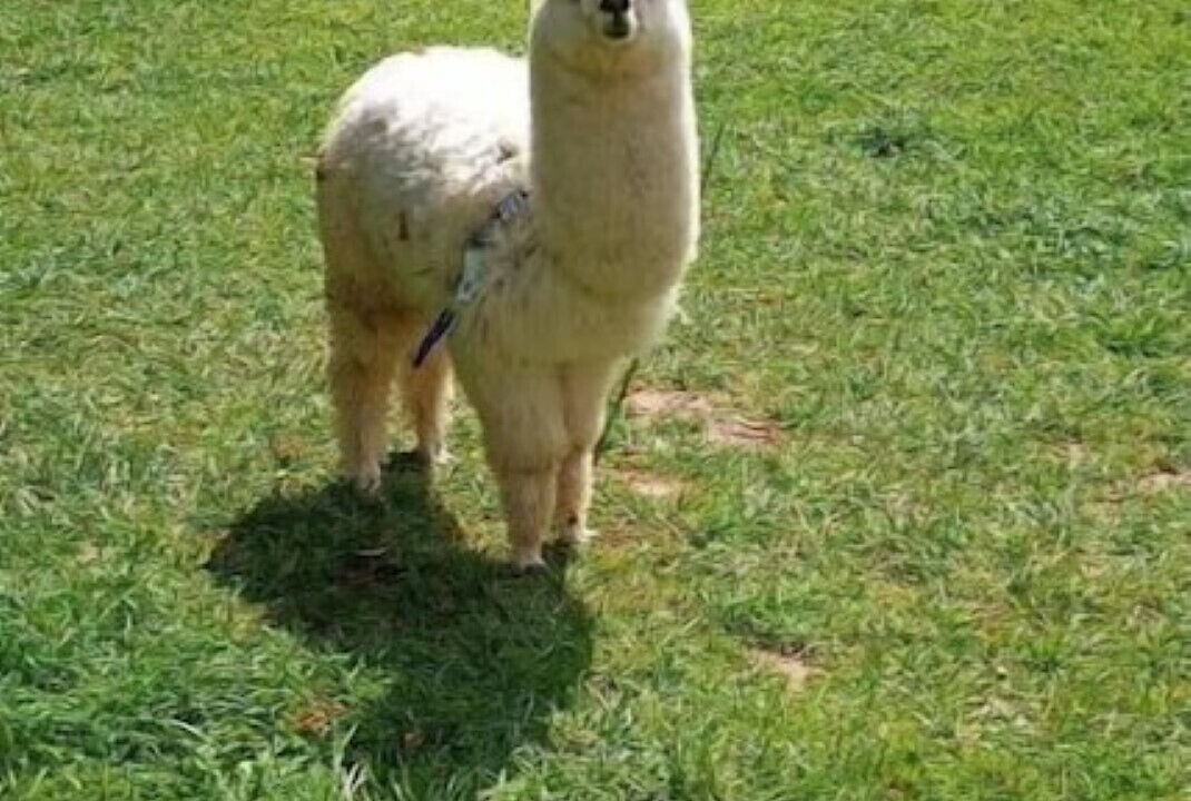 Photo of Outdoor in Humieres