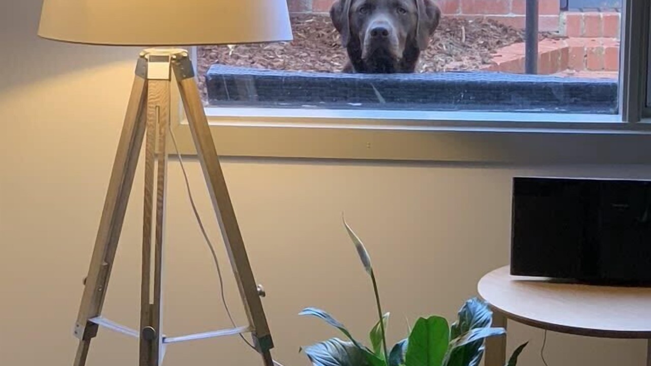 Photo of Bedroom in Newtown