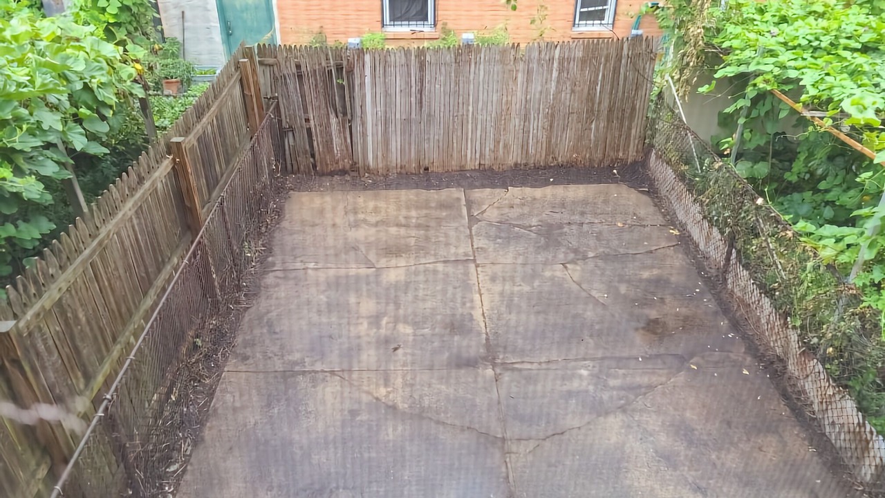 Photo of Outdoor in East New York