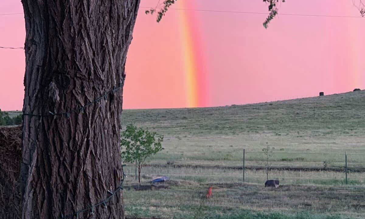Photo of Others in Folsom