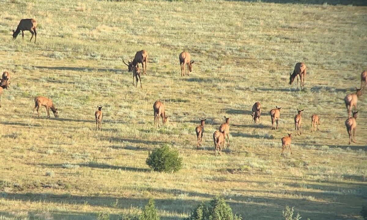 Photo of Others in Folsom