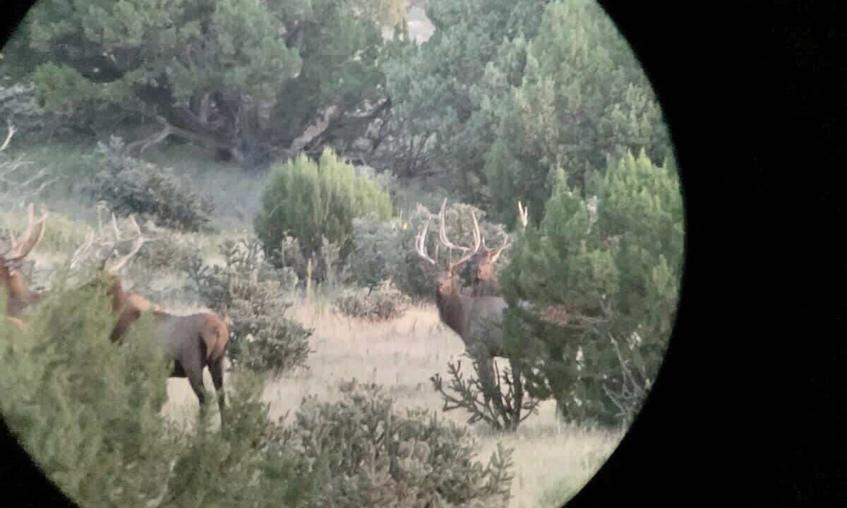 Photo of Others in Folsom