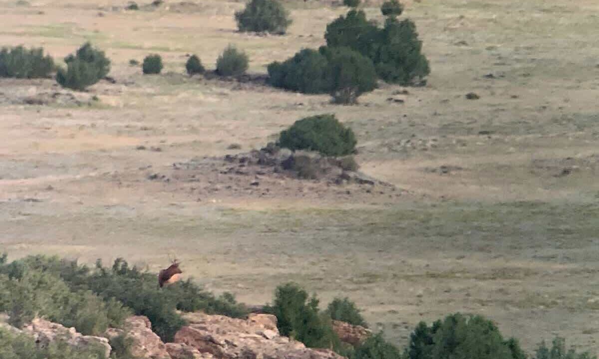 Photo of Others in Folsom