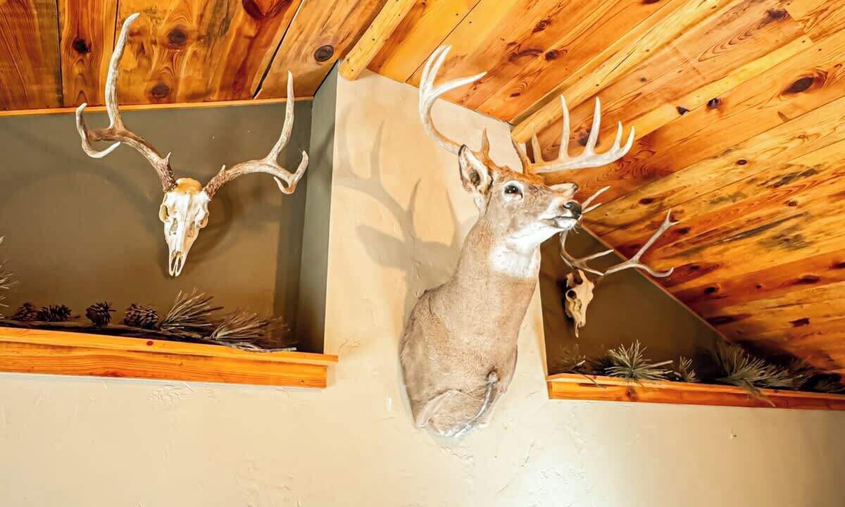 Photo of Others in Folsom