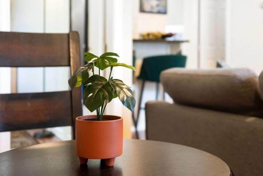 Photo of Others in West Hartford