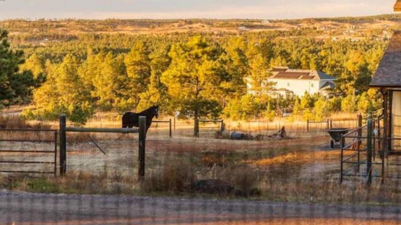 Photo of Outdoor in Colorado Springs