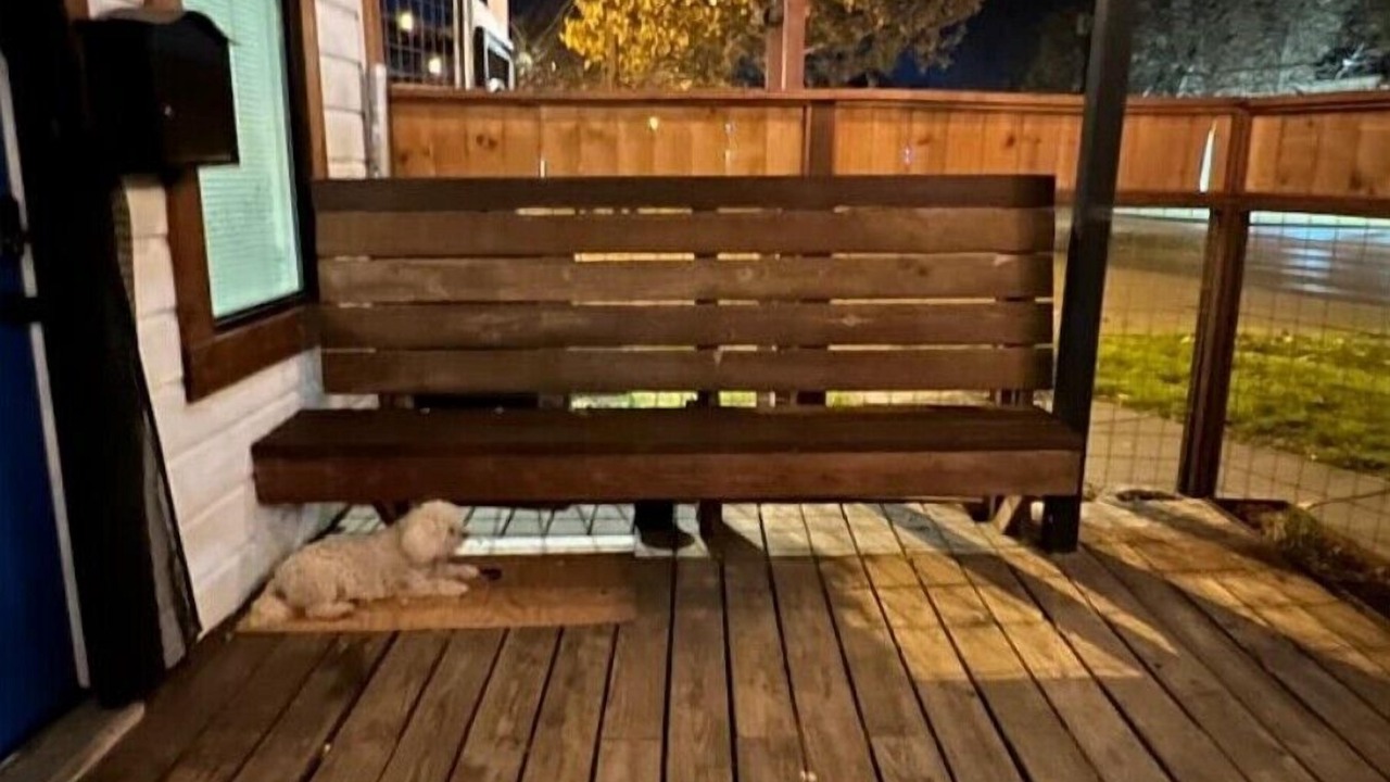 Photo of Patio Balcony in Govalle