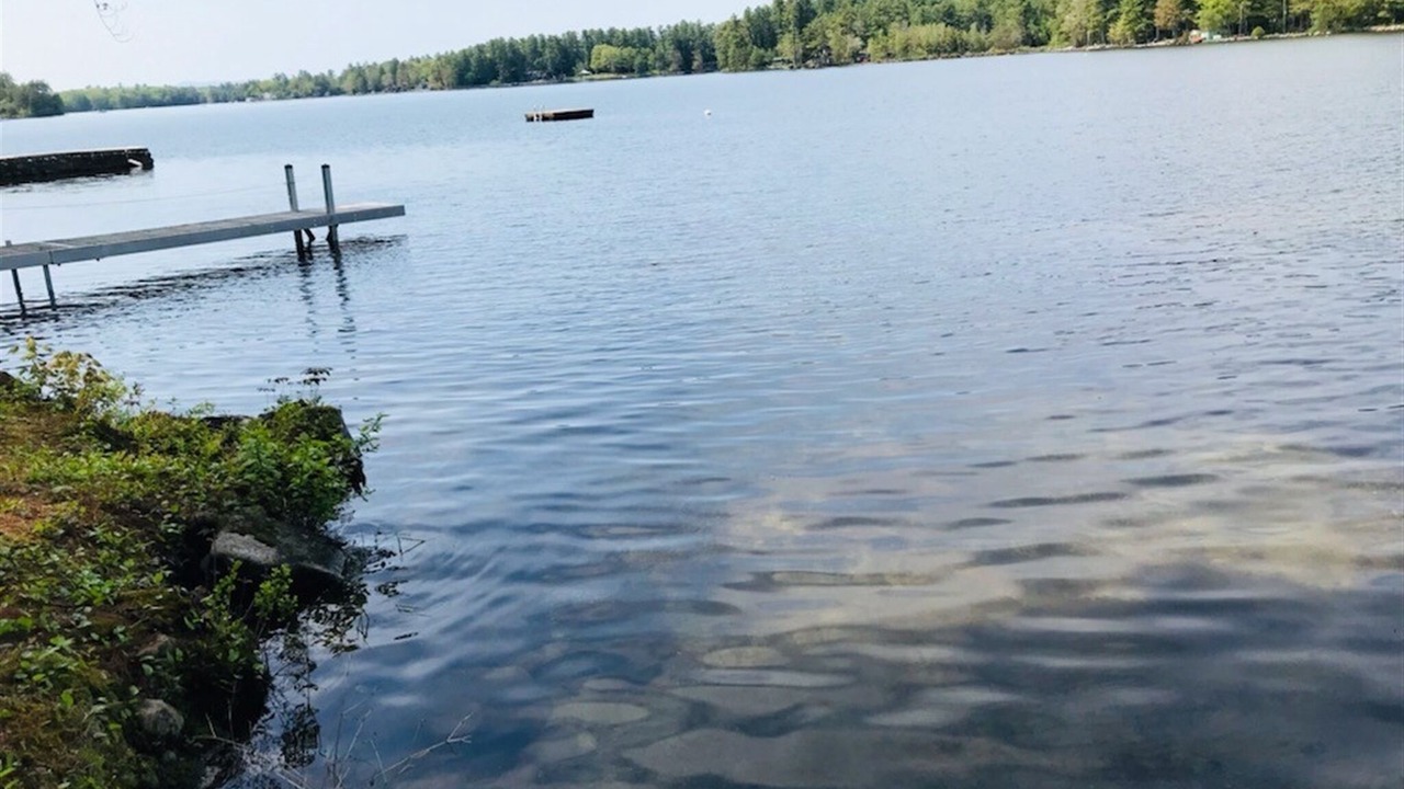 Photo of Others in South Casco