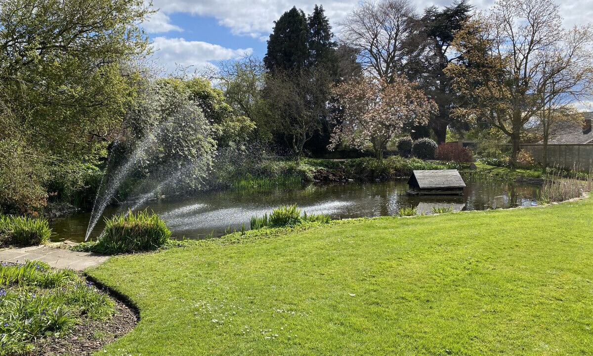 Photo of Others in Northway