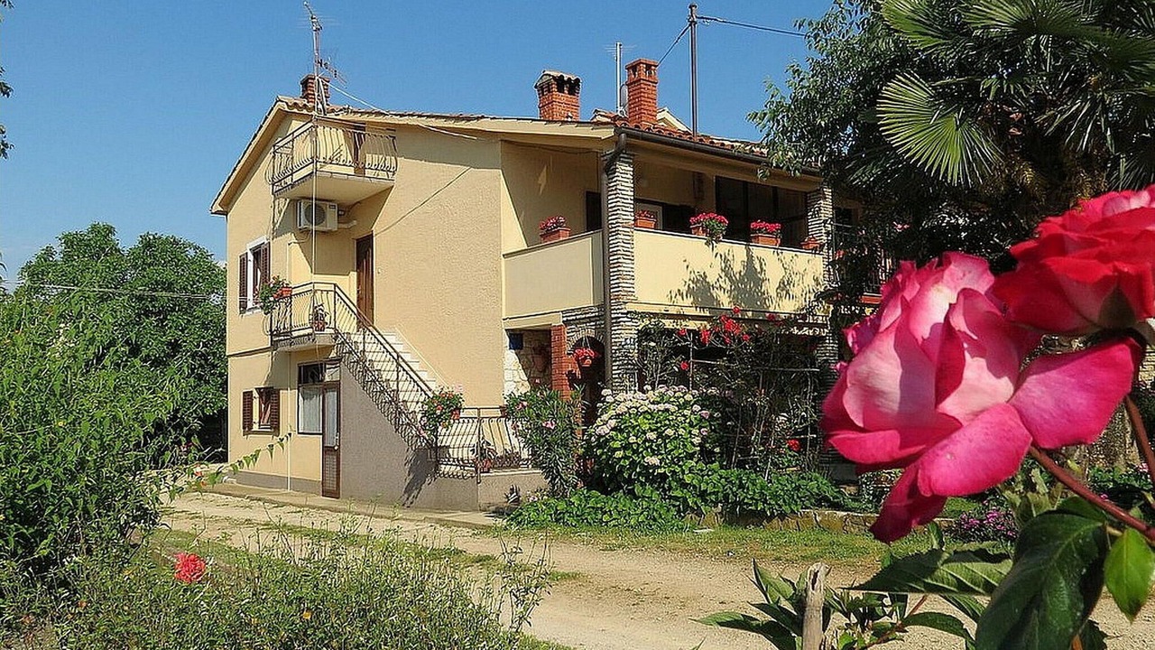 Photo of Others in Rosini