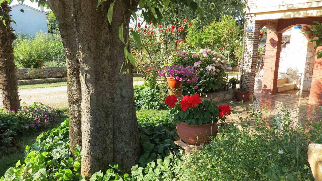 Photo of Others in Rosini