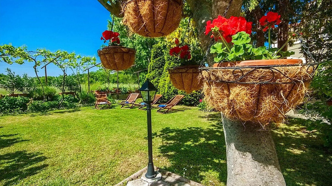 Photo of Others in Vinez