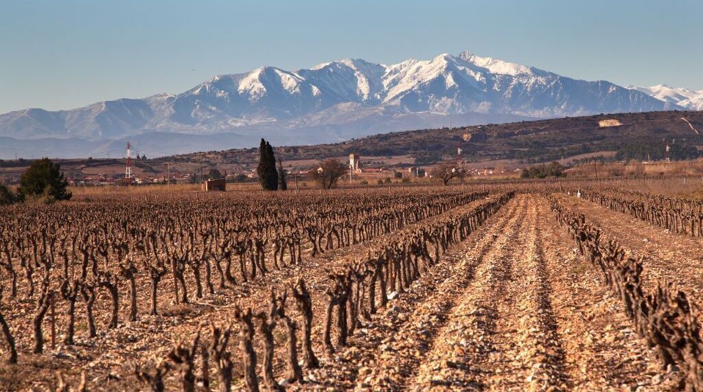 Photo of Others in Espira de l'Agly