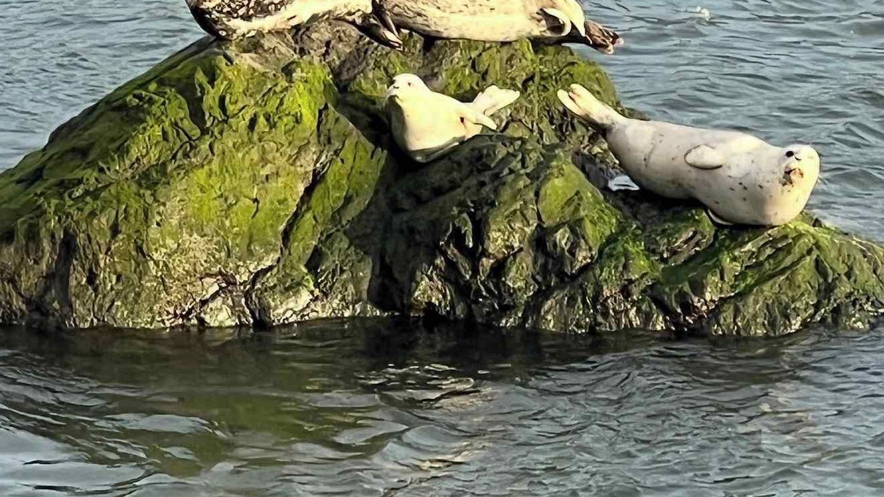 Photo of Others in Gold Beach