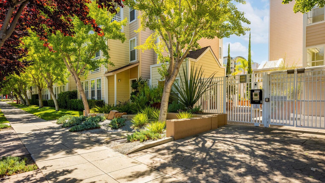 Photo of Outdoor in Mountain View