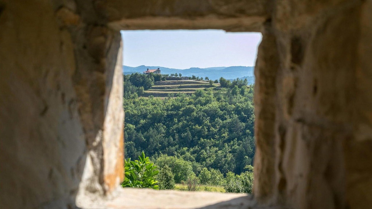 Photo of Bedroom in Sovinjska Brda