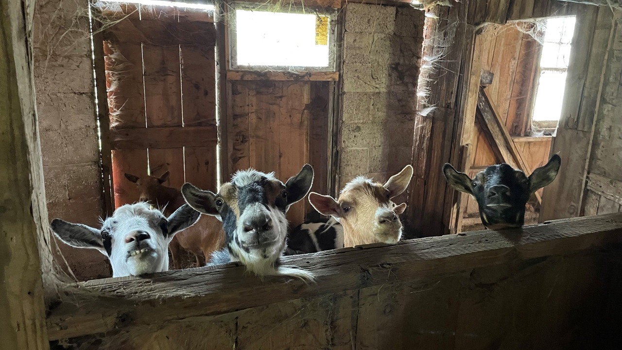 Photo of Others in Montgomery