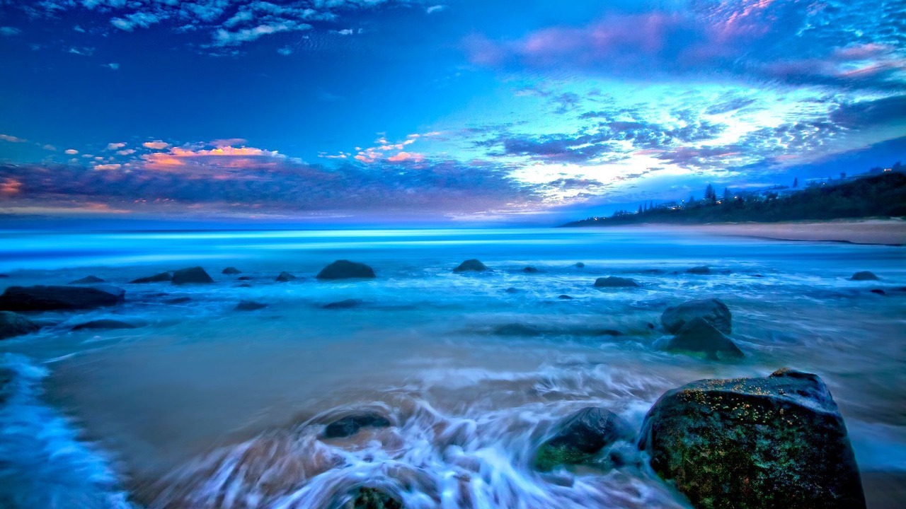 Photo of Others in Sunshine Beach