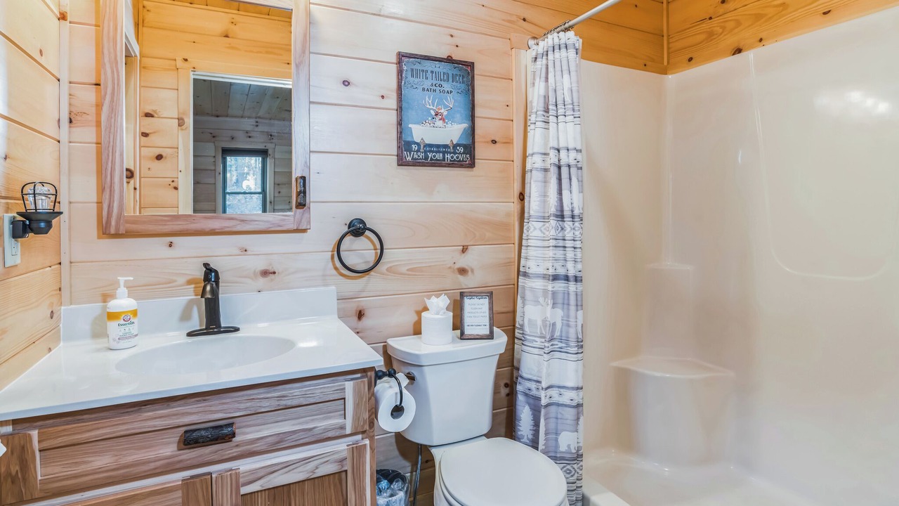 Photo of Bathroom in Town of Webb