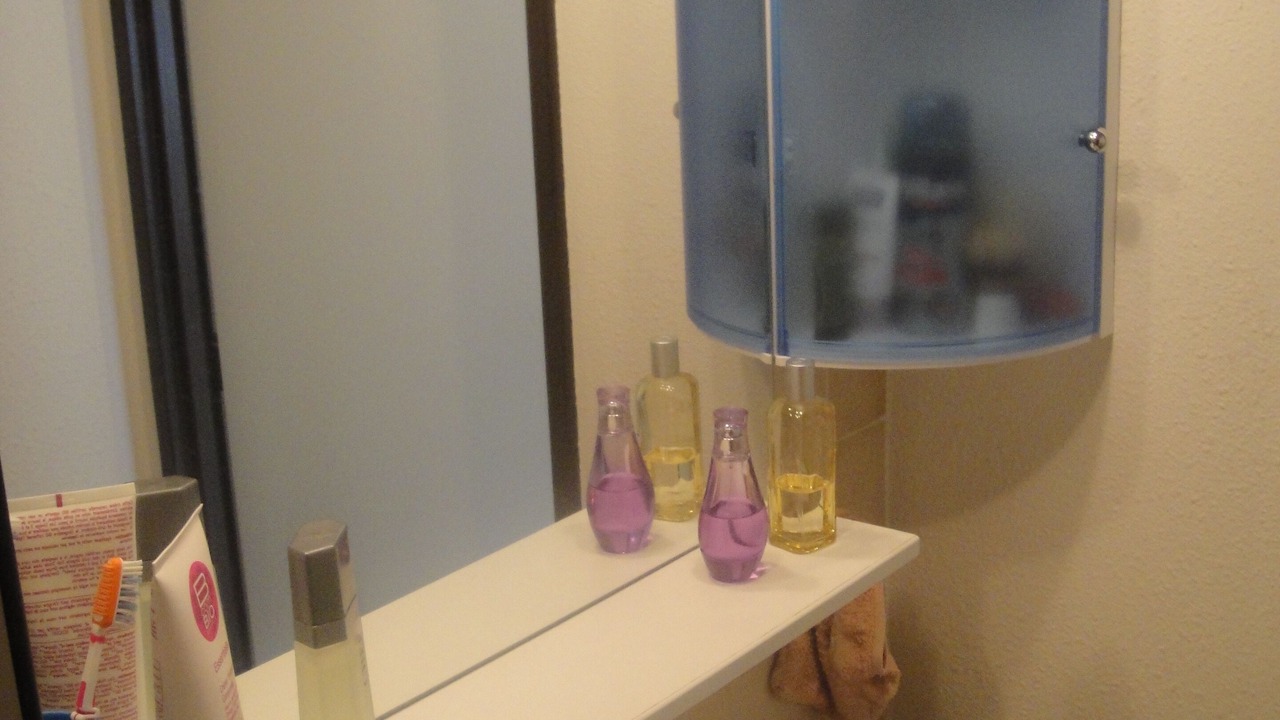 Photo of Bathroom in Vielle-Aure