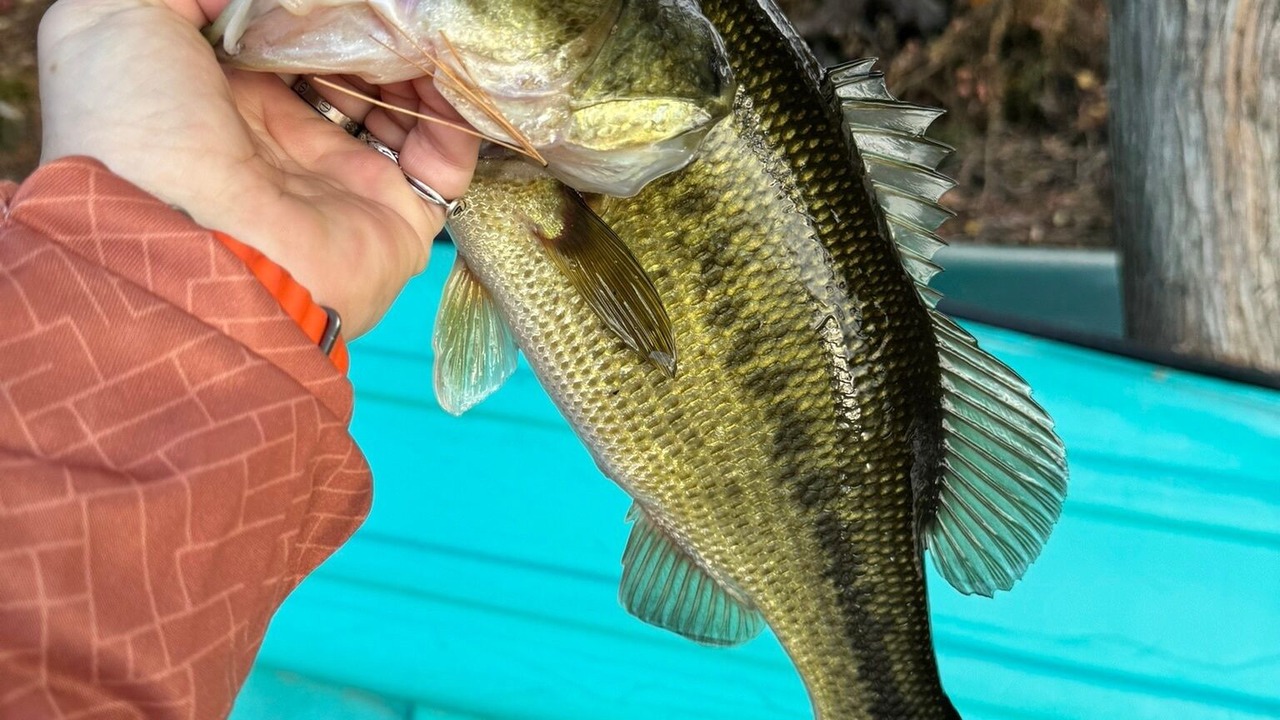 Photo of Others in Town of Macomb