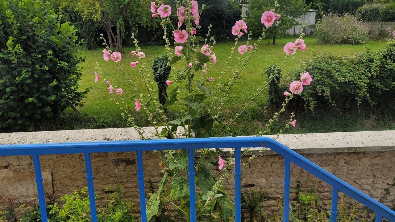 Photo of Outdoor in Coulonces