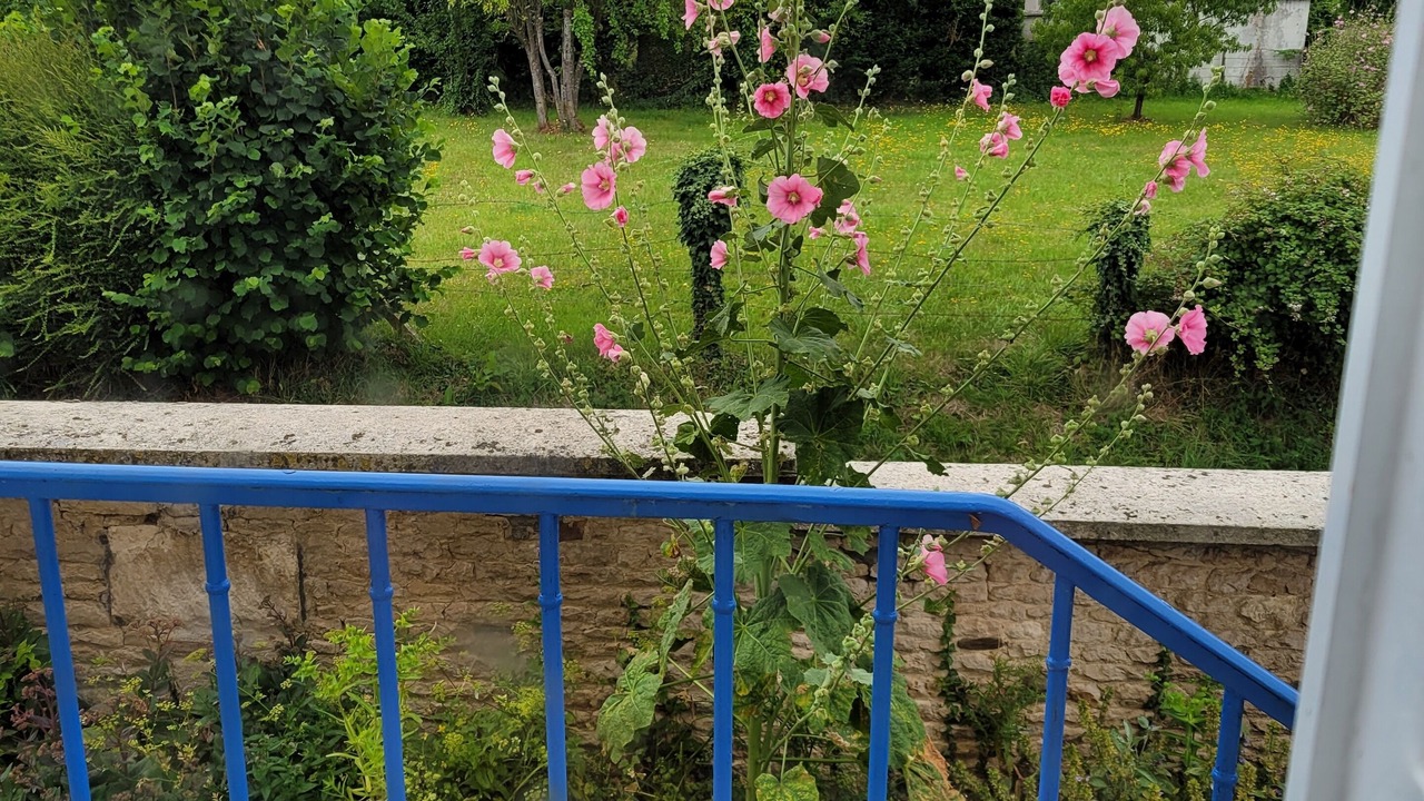 Photo of Outdoor in Coulonces