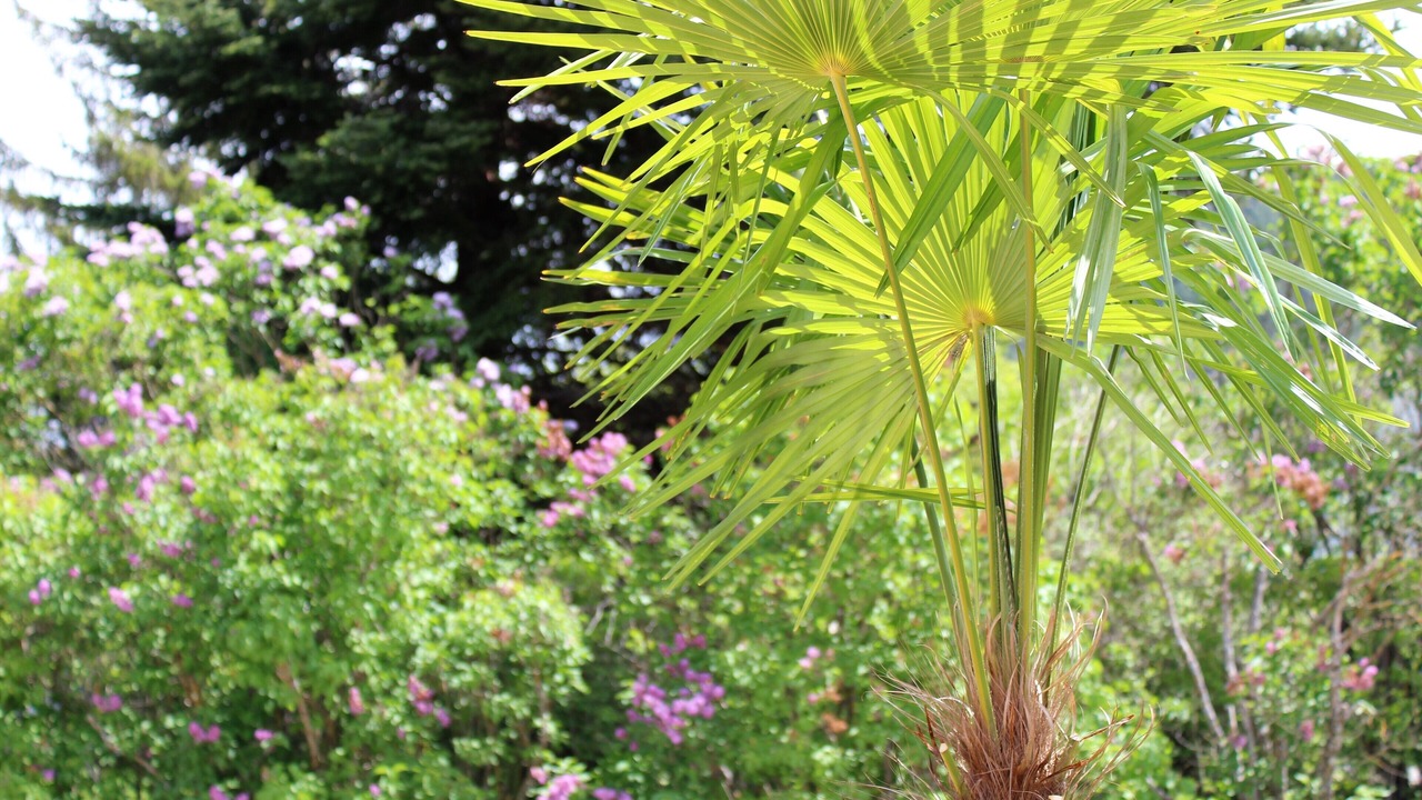 Photo of Outdoor in Castellane