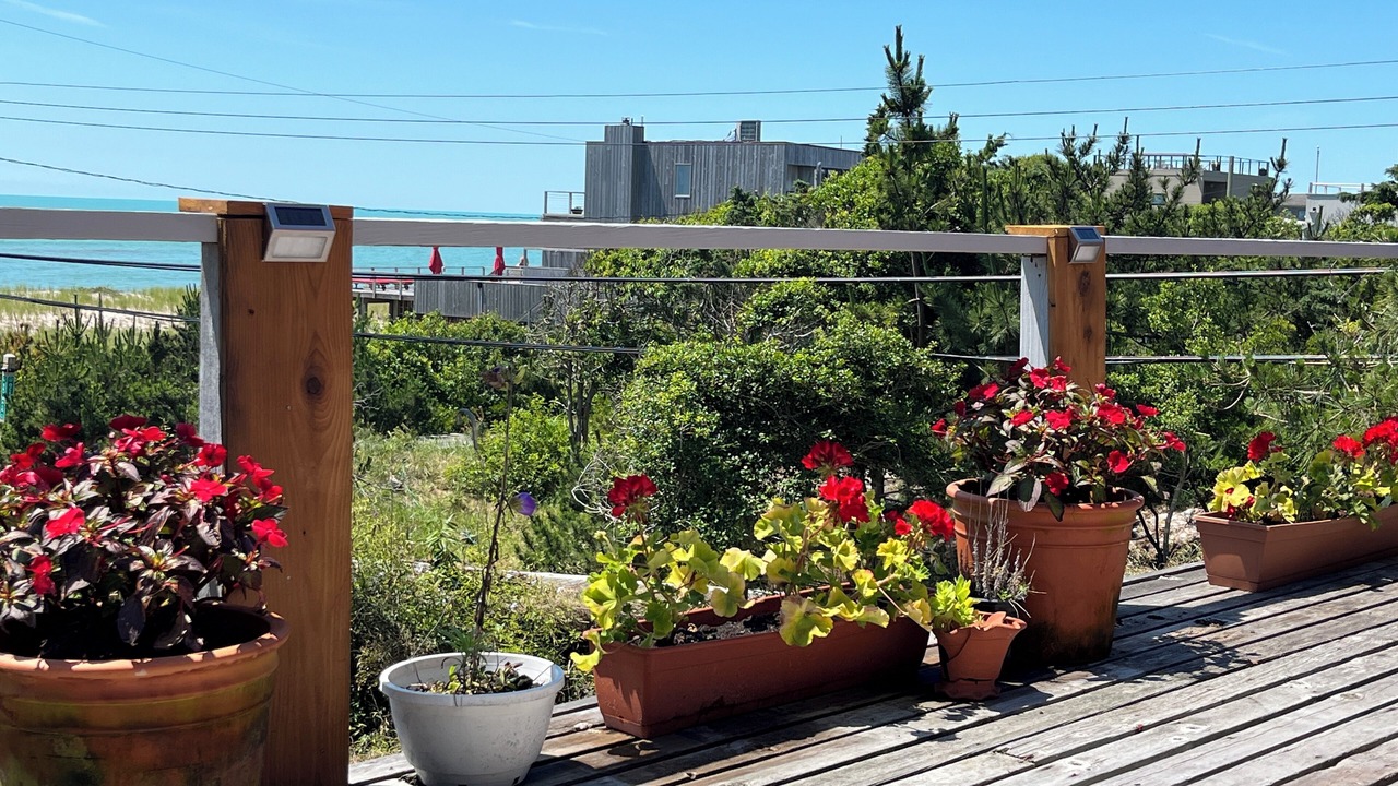 Photo of Outdoor in Long Island