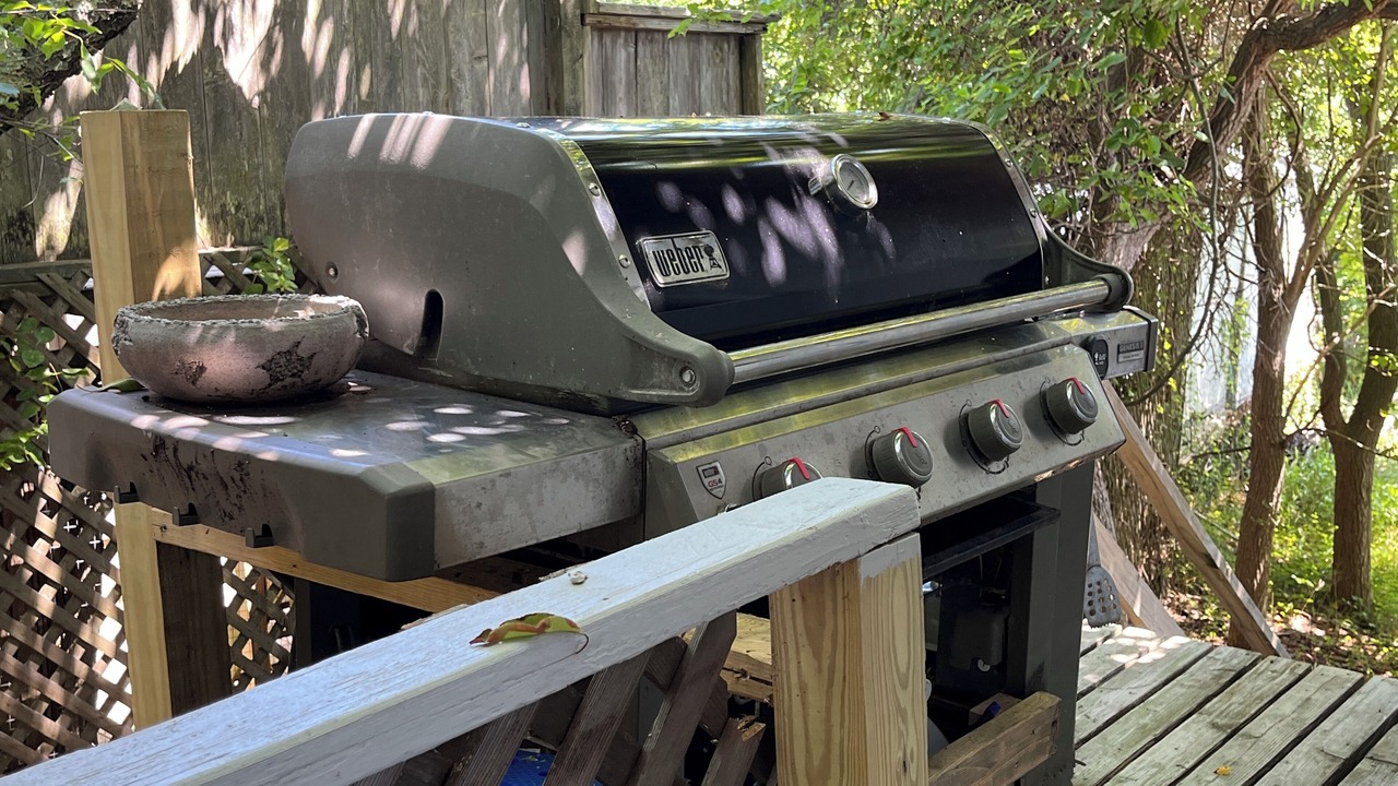 Photo of Outdoor in Long Island