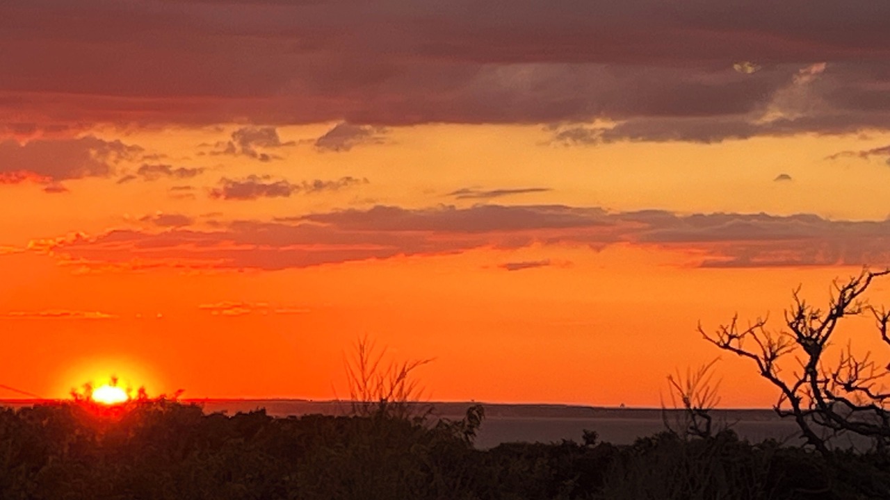 Photo of Others in Long Island