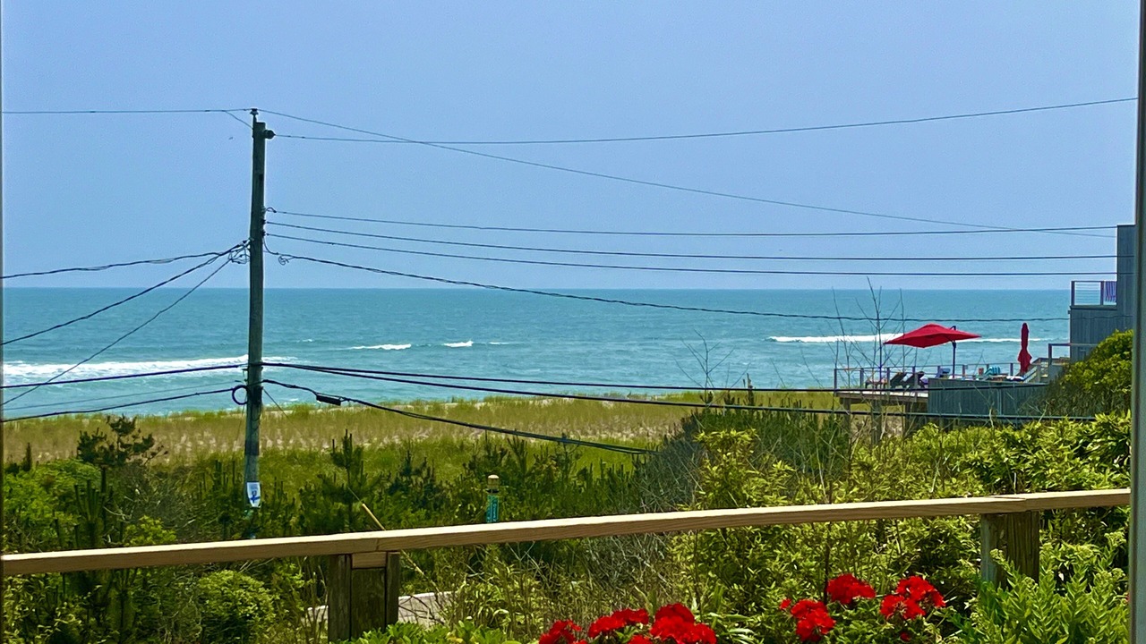 Photo of Outdoor in Long Island