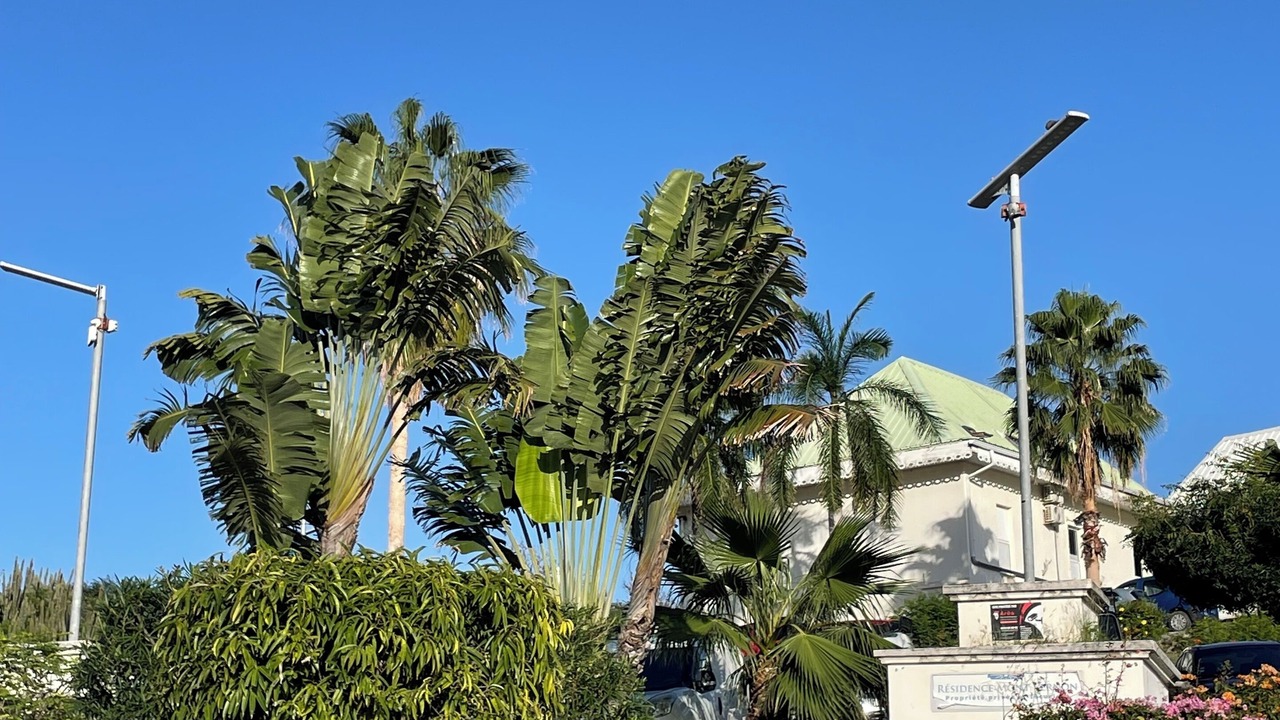 Photo of Outdoor in Cul de Sac