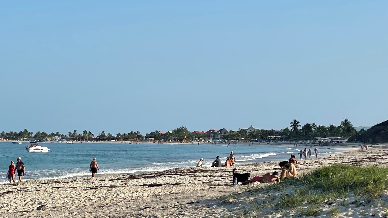 Photo of Others in Cul de Sac