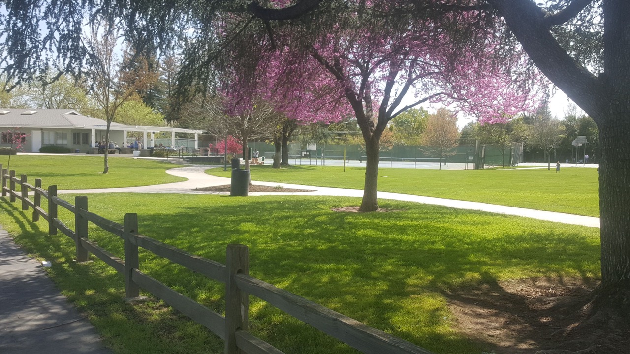Photo of Outdoor in Arden Park Vista