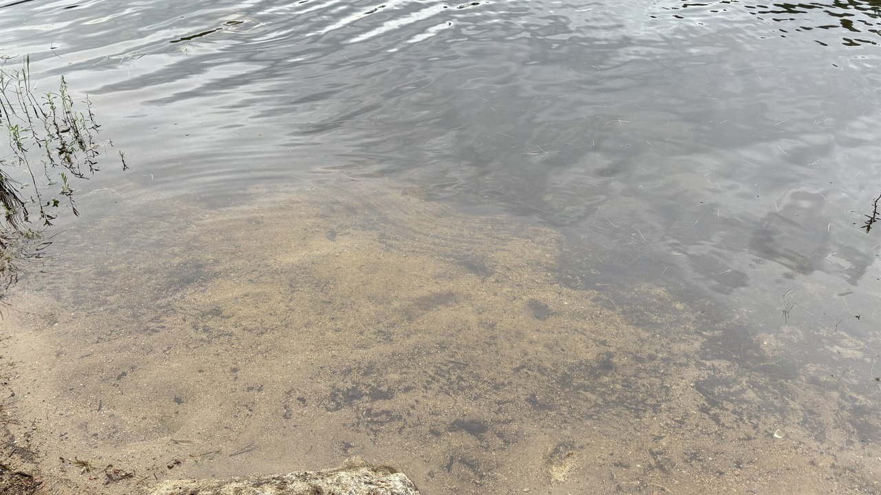 Photo of Others in South Casco