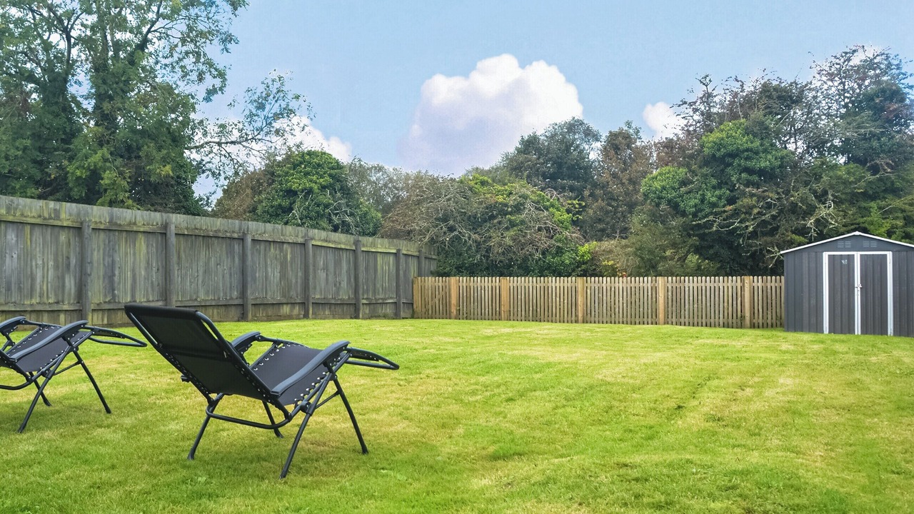 Photo of Others in Bugle