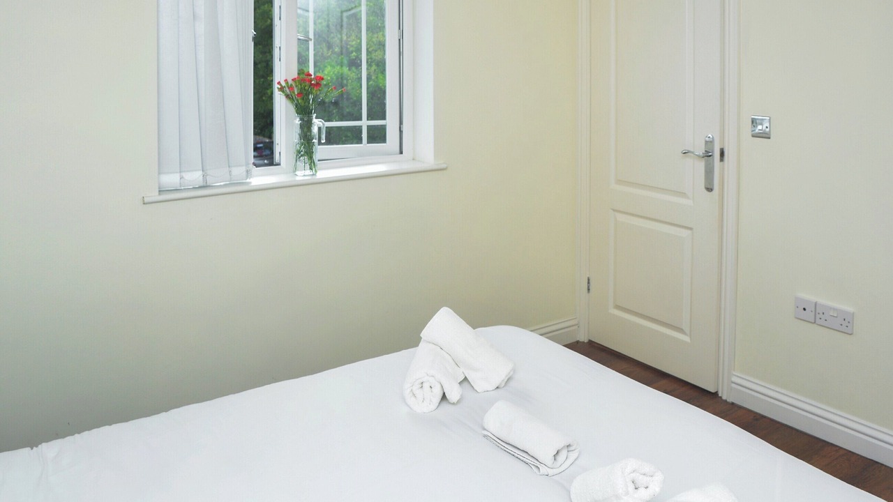 Photo of Others in Bugle