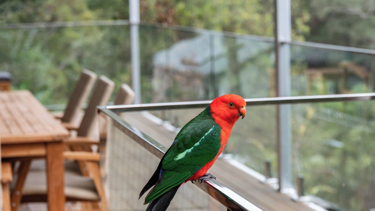 Photo of Others in Avoca Beach