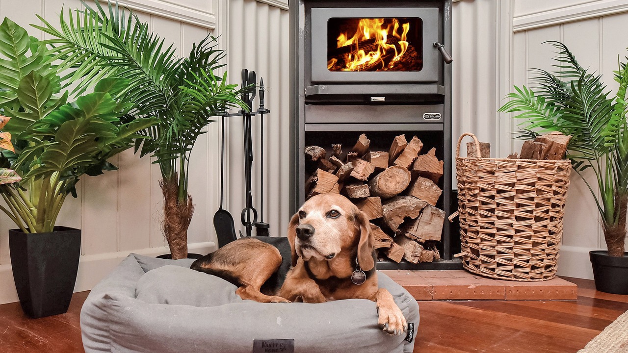 Photo of Others in Wollombi