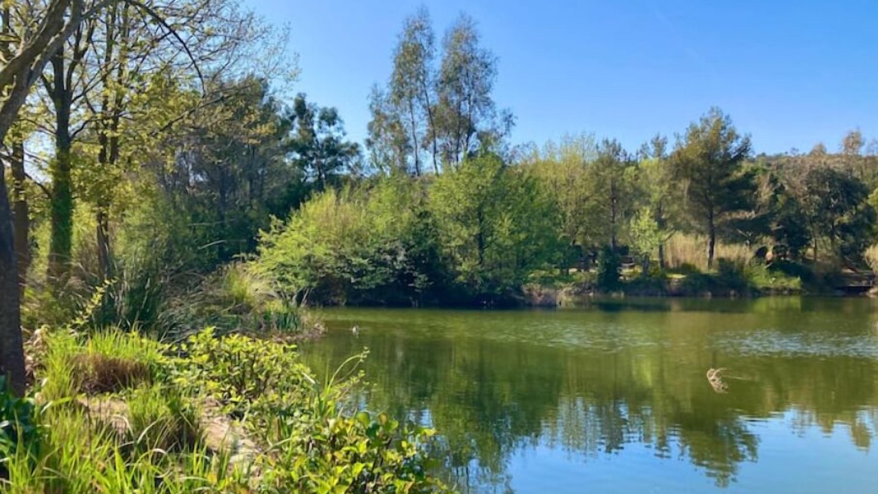 Photo of Others in Les Restanques