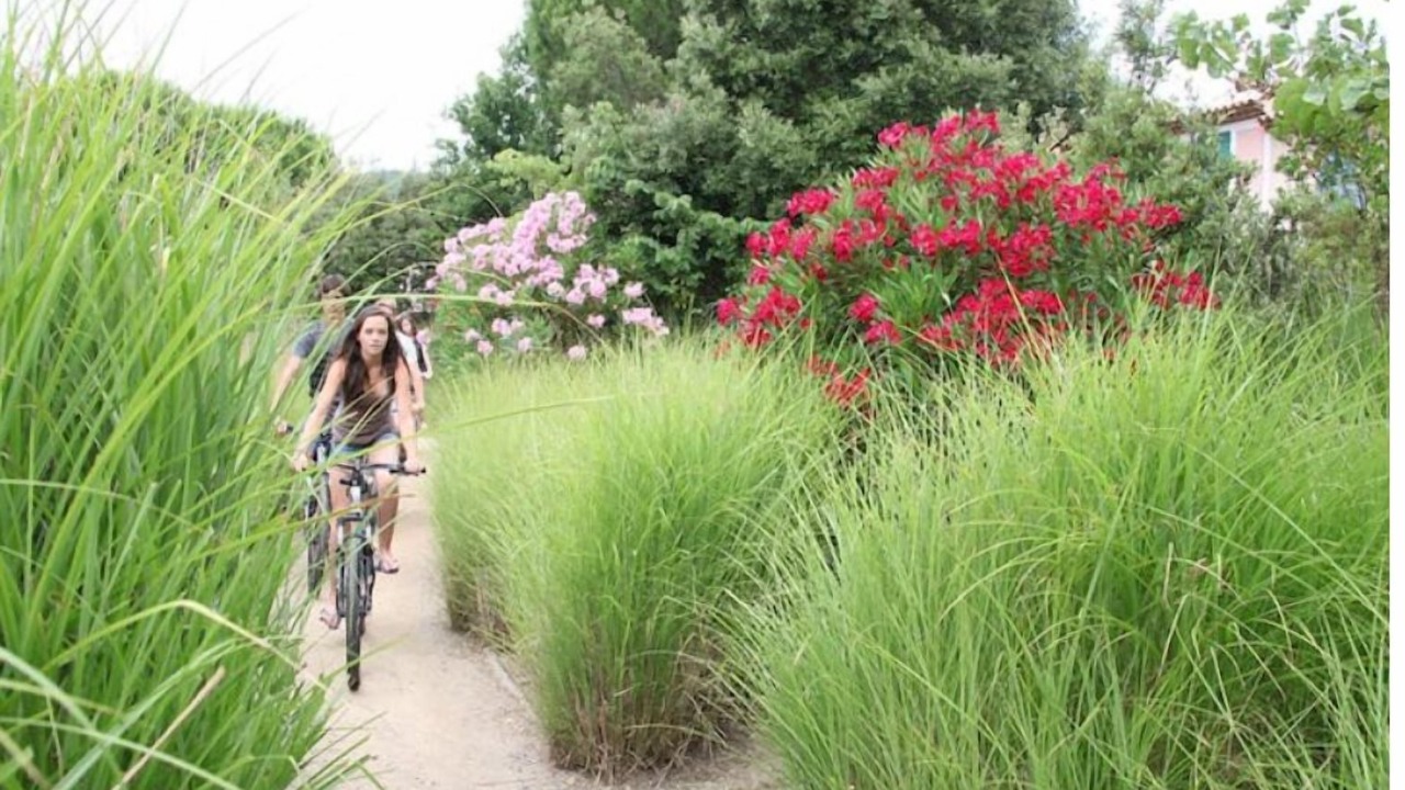 Photo of Outdoor in Les Restanques