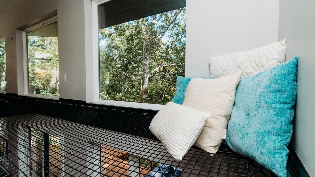 Photo of Others in Wellington