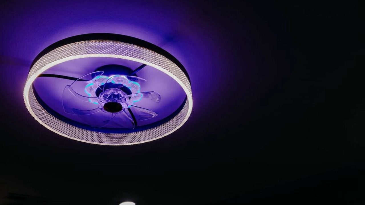 Photo of Others in Wellington