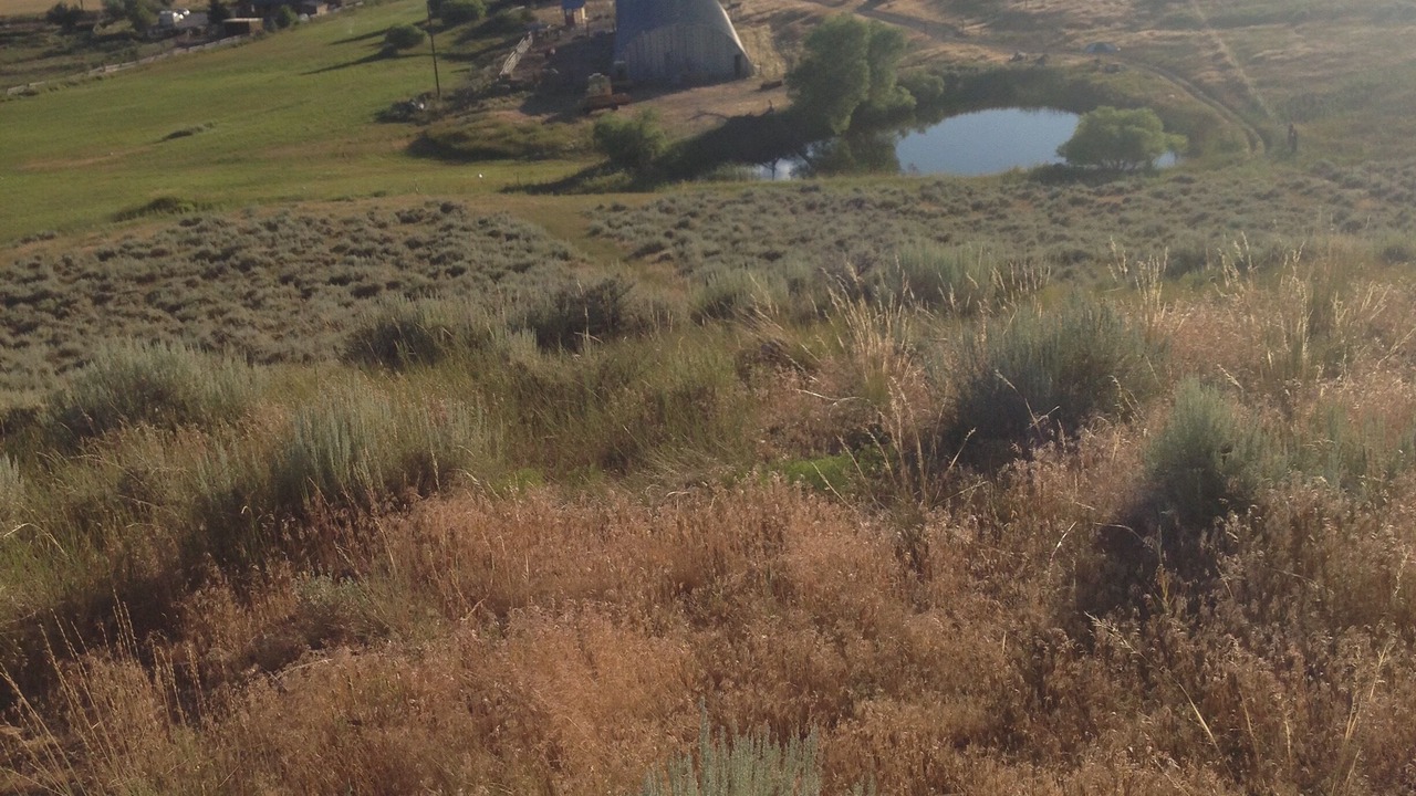 Photo of Outdoor in Lander