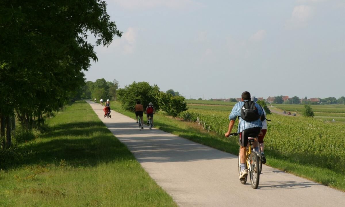 Photo of Others in Cormatin