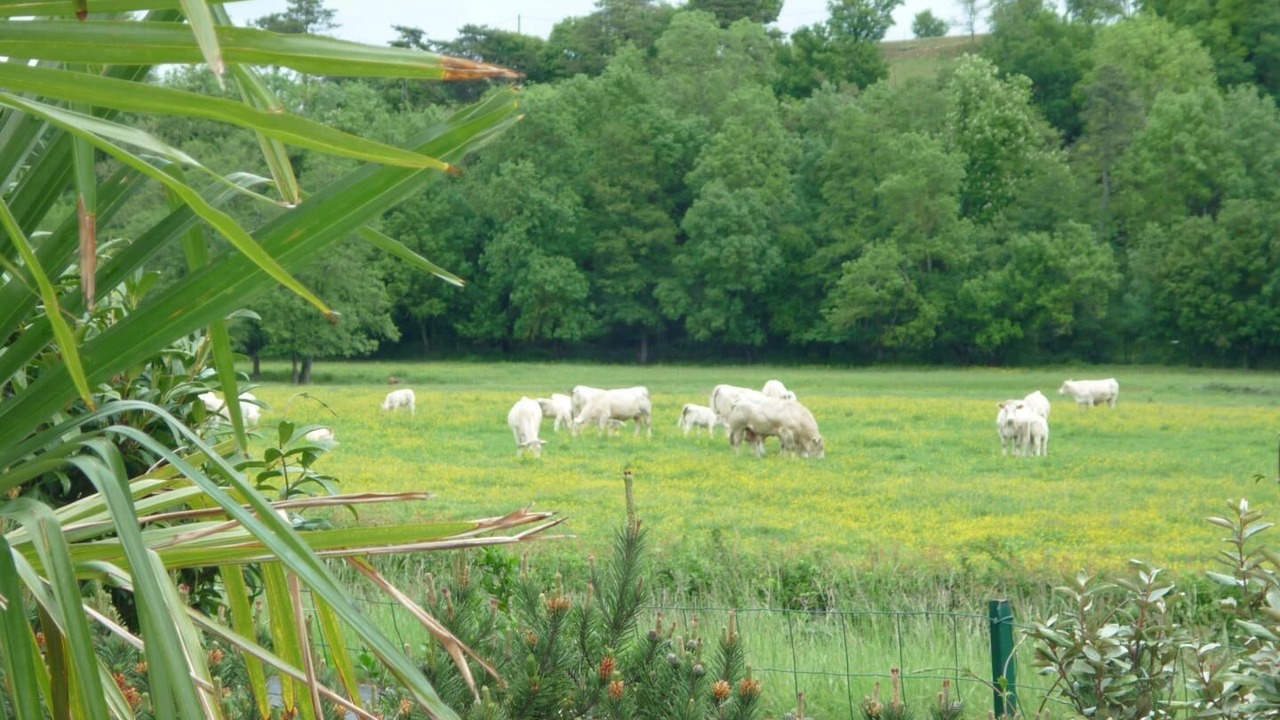 Photo of Others in Cormatin