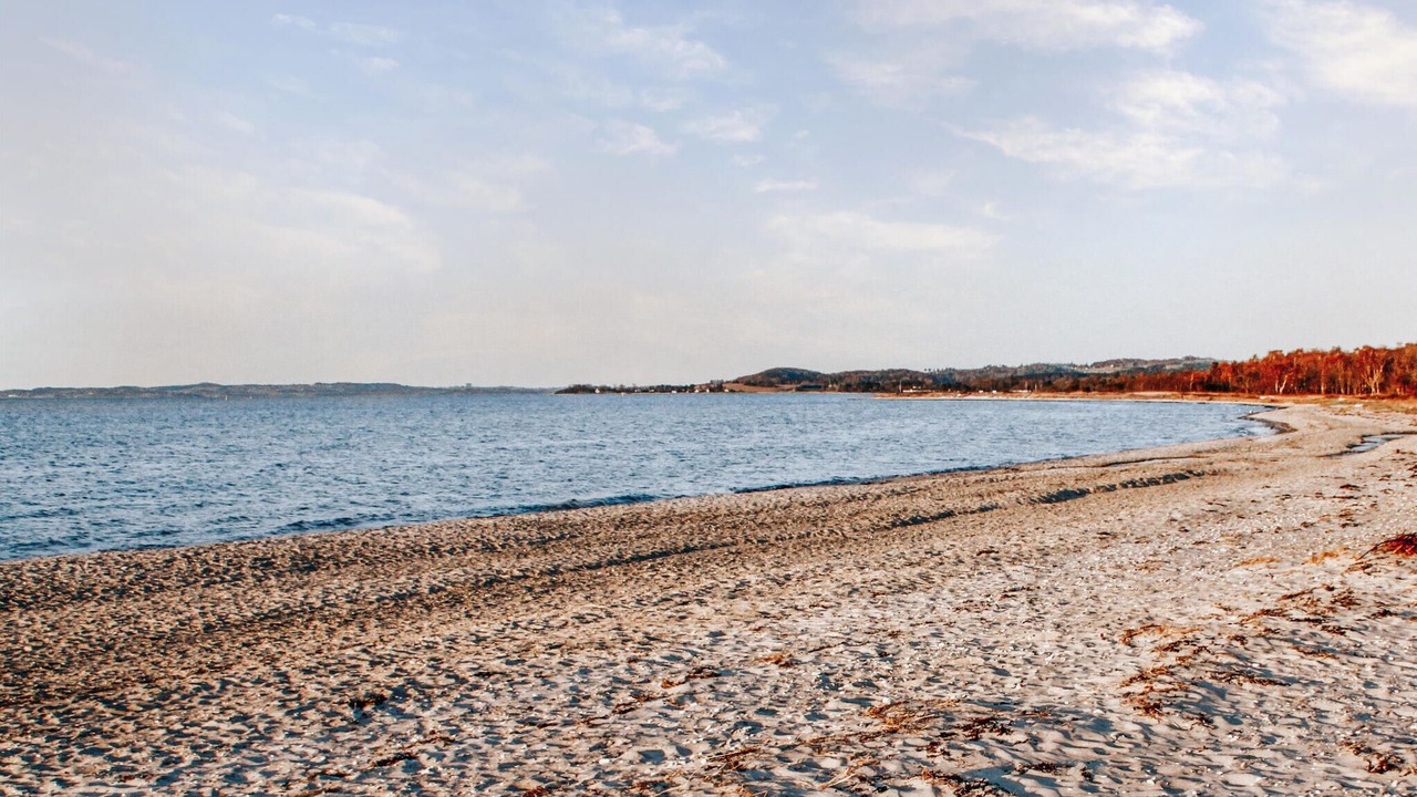 Photo of Others in Lyngsbæk Strand